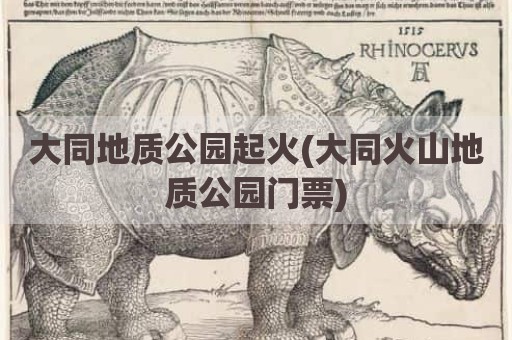 大同地质公园起火(大同火山地质公园门票)