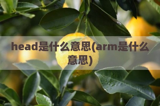 head是什么意思(arm是什么意思)