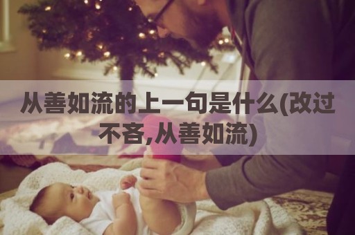 从善如流的上一句是什么(改过不吝,从善如流)