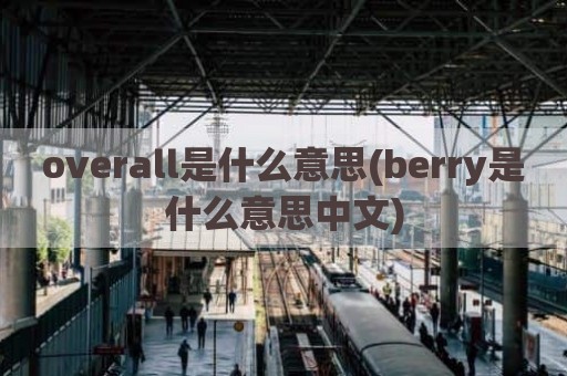 overall是什么意思(berry是什么意思中文)