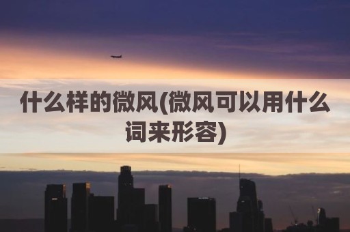 什么样的微风(微风可以用什么词来形容)