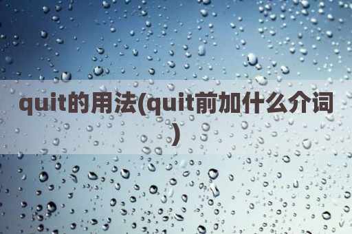 quit的用法(quit前加什么介词)