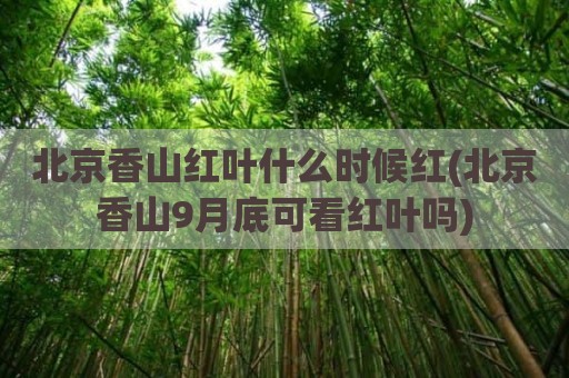 北京香山红叶什么时候红(北京香山9月底可看红叶吗)