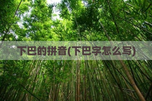 下巴的拼音(下巴字怎么写)