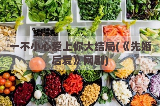 一不小心爱上你大结局(《先婚后爱》网剧)