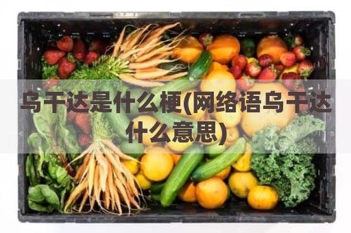 乌干达是什么梗(网络语乌干达什么意思)
