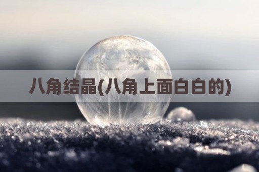 八角结晶(八角上面白白的)