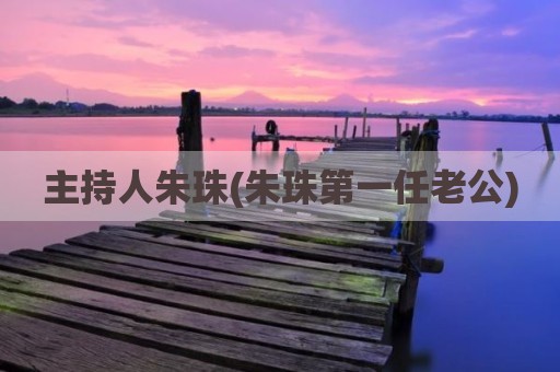 主持人朱珠(朱珠第一任老公)
