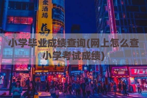 小学毕业成绩查询(网上怎么查小学考试成绩)