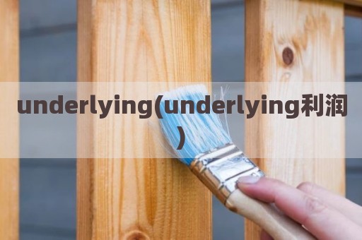 underlying(underlying利润)