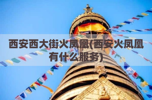 西安西大街火凤凰(西安火凤凰有什么服务)