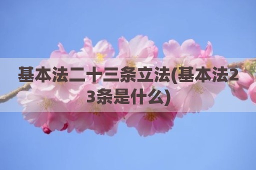 基本法二十三条立法(基本法23条是什么)
