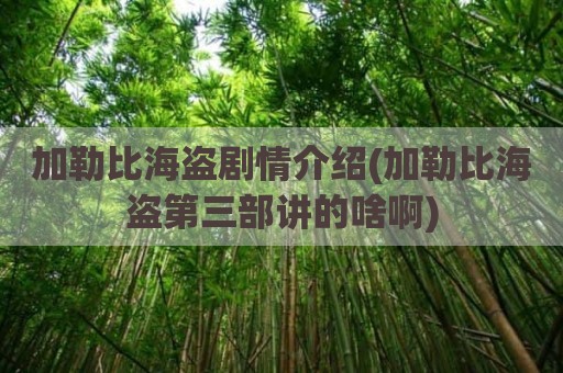 加勒比海盗剧情介绍(加勒比海盗第三部讲的啥啊)