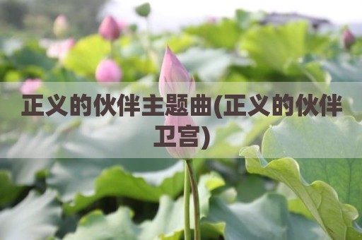 正义的伙伴主题曲(正义的伙伴卫宫)