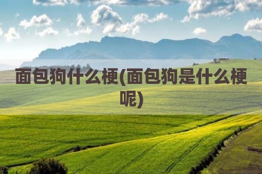 面包狗什么梗(面包狗是什么梗呢)