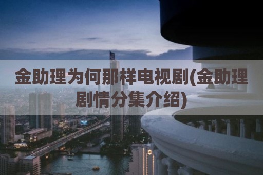金助理为何那样电视剧(金助理剧情分集介绍)