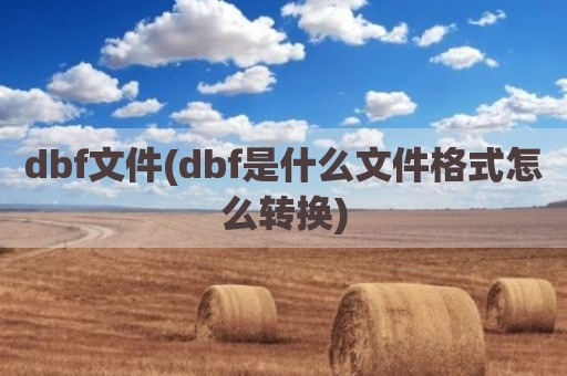 dbf文件(dbf是什么文件格式怎么转换)