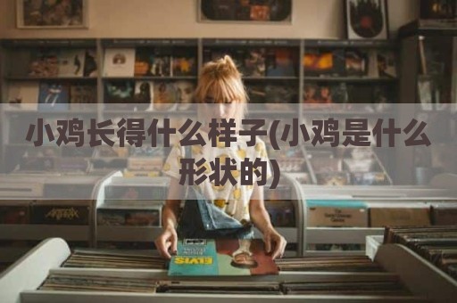 小鸡长得什么样子(小鸡是什么形状的)