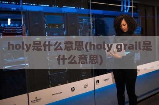 holy是什么意思(holy grail是什么意思)