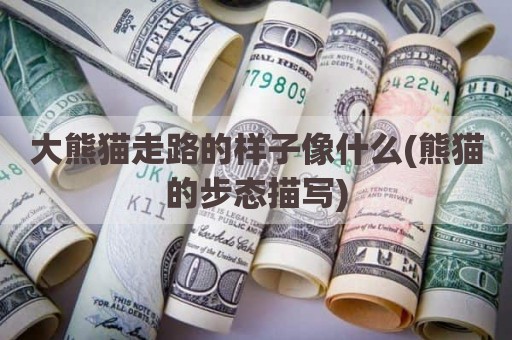 大熊猫走路的样子像什么(熊猫的步态描写)