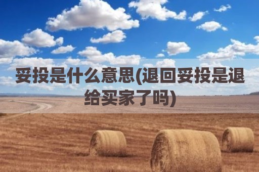 妥投是什么意思(退回妥投是退给买家了吗)