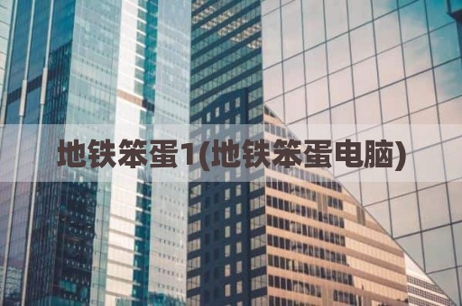 地铁笨蛋1(地铁笨蛋电脑)