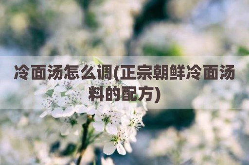 冷面汤怎么调(正宗朝鲜冷面汤料的配方)