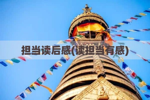 担当读后感(读担当有感)