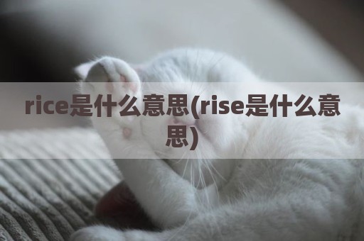 rice是什么意思(rise是什么意思)