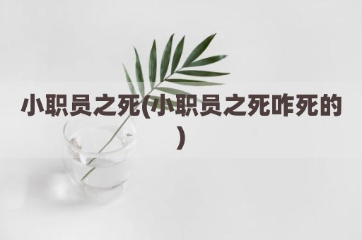 小职员之死(小职员之死咋死的)