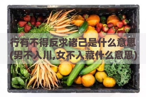 行有不得反求诸己是什么意思(男不入川,女不入藏什么意思)
