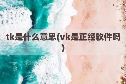 tk是什么意思(vk是正经软件吗)