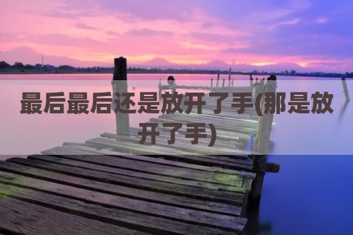 最后最后还是放开了手(那是放开了手)