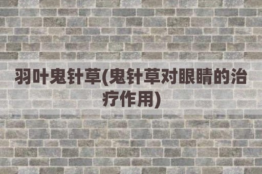 羽叶鬼针草(鬼针草对眼睛的治疗作用)