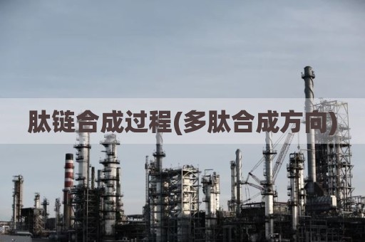 肽链合成过程(多肽合成方向)