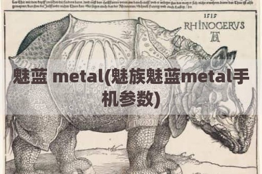 魅蓝 metal(魅族魅蓝metal手机参数)