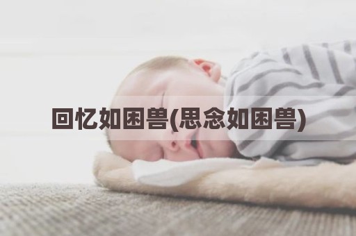 回忆如困兽(思念如困兽)