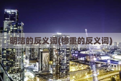 明洁的反义词(惨重的反义词)