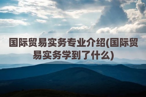 国际贸易实务专业介绍(国际贸易实务学到了什么)