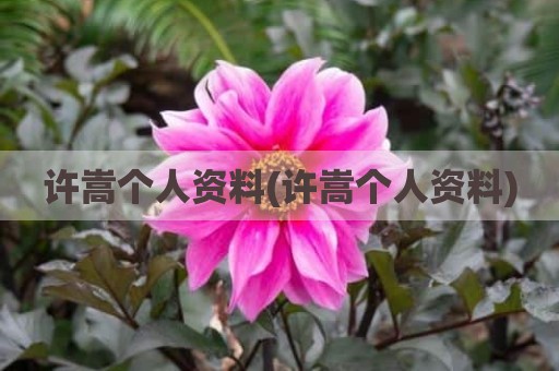许嵩个人资料(许嵩个人资料)