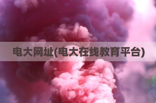 电大网址(电大在线教育平台)