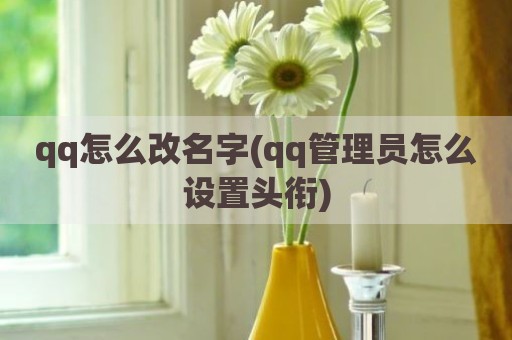 qq怎么改名字(qq管理员怎么设置头衔)