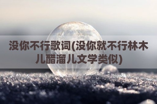 没你不行歌词(没你就不行林木儿醋溜儿文学类似)