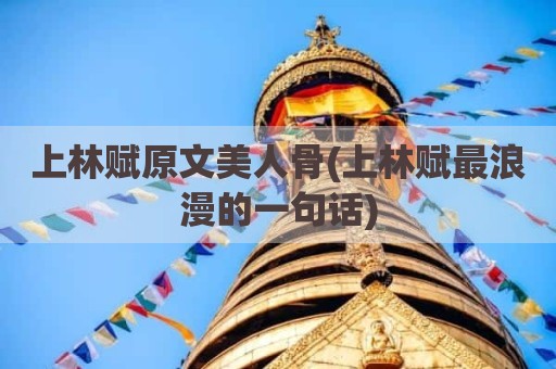 上林赋原文美人骨(上林赋最浪漫的一句话)