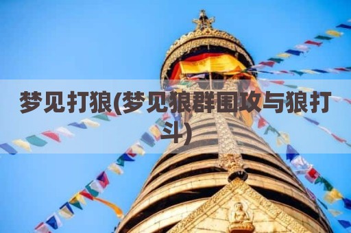 梦见打狼(梦见狼群围攻与狼打斗)
