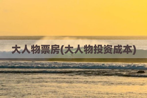 大人物票房(大人物投资成本)