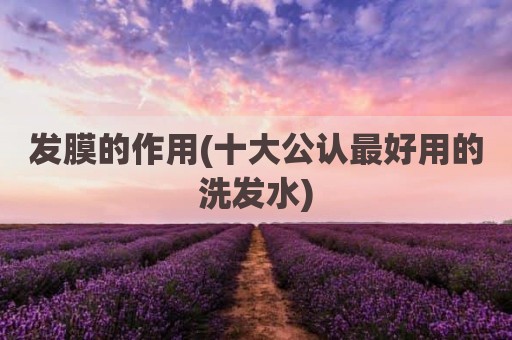 发膜的作用(十大公认最好用的洗发水)
