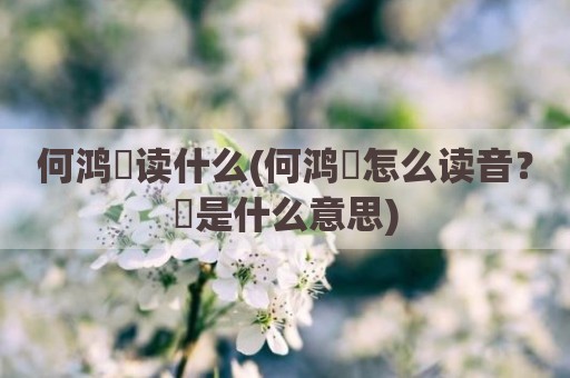 何鸿燊读什么(何鸿燊怎么读音？燊是什么意思)
