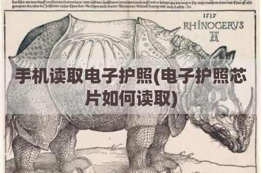 手机读取电子护照(电子护照芯片如何读取)