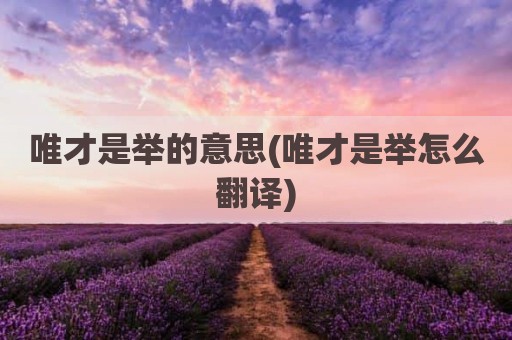 唯才是举的意思(唯才是举怎么翻译)